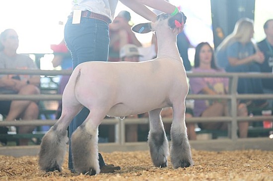 2023 Missouri State Fair